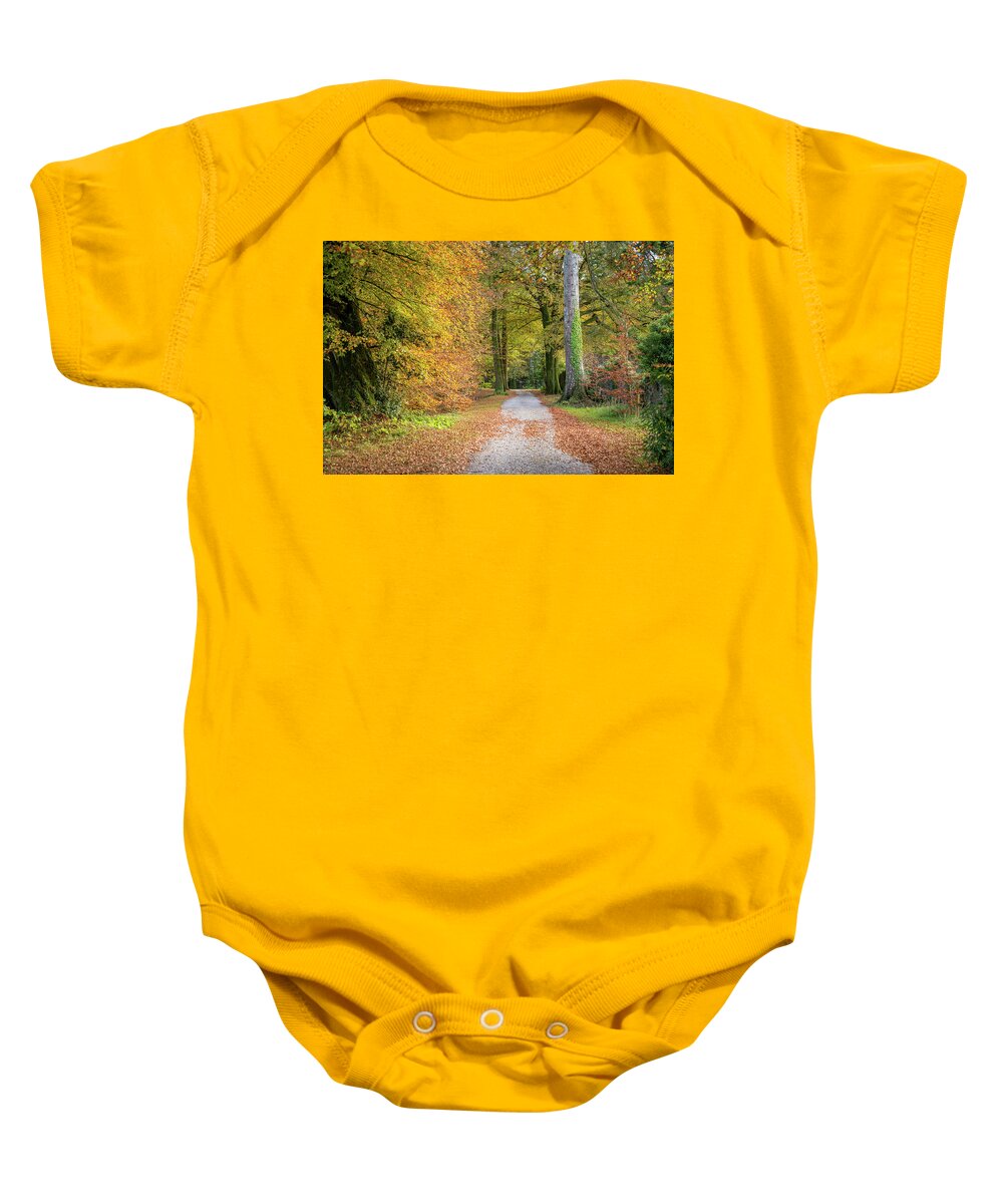 Autumnal Walkway Baby Onesie featuring the photograph Autumnal Walkway by Martina Fagan
