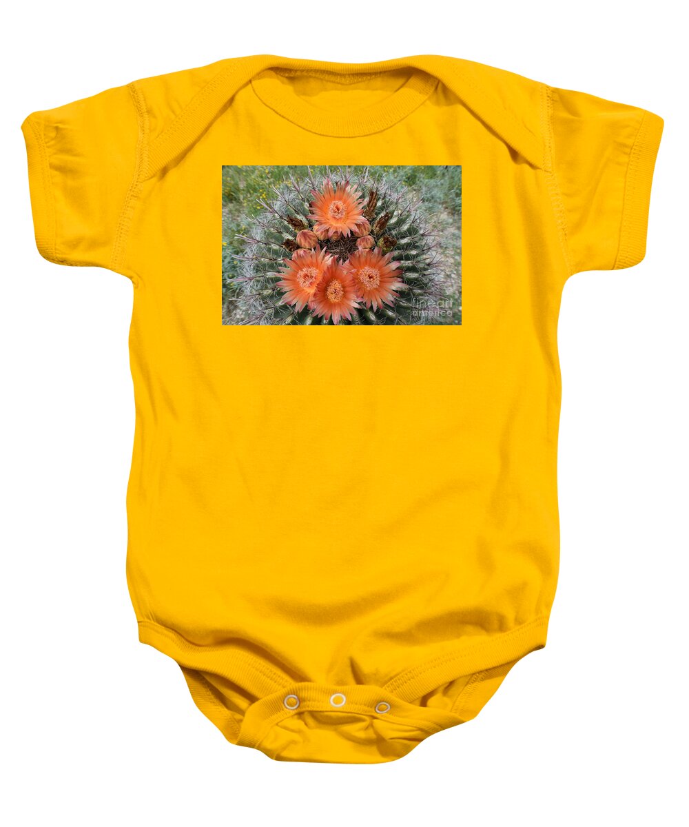 Arizona Baby Onesie featuring the photograph Beauty Among The Thorns by Janet Marie