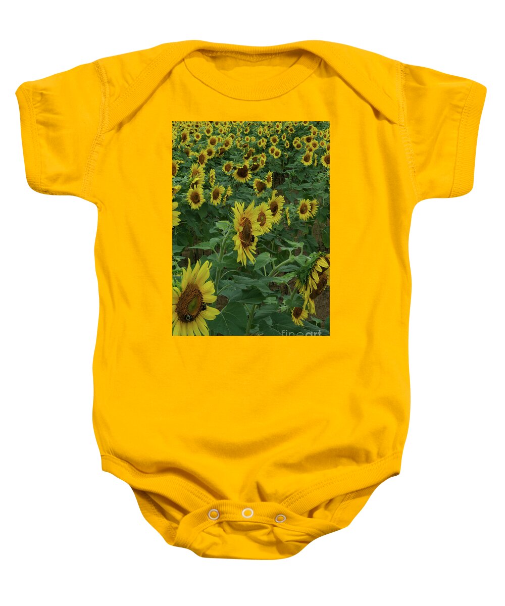 Animals Baby Onesie featuring the photograph Bee Heaven by Skip Willits