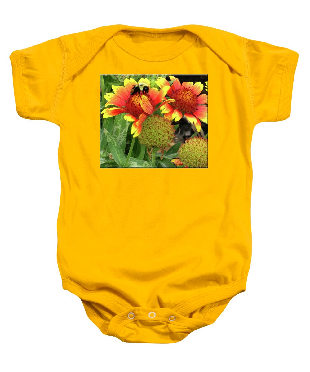 Floral Baby Onesie featuring the photograph Bee on colorful flowers by Mikki Cucuzzo
