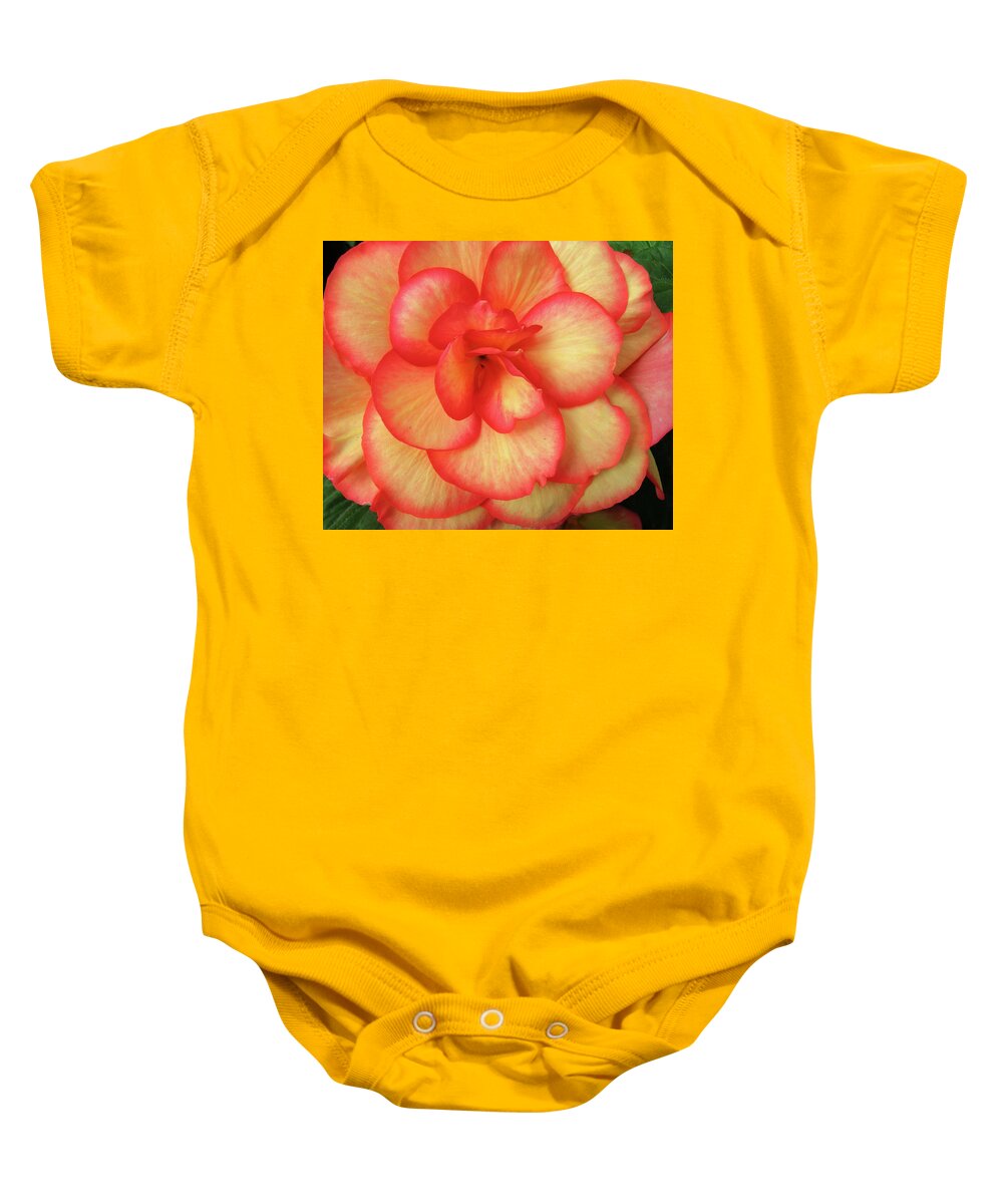 Begonia Baby Onesie featuring the photograph Begonia No. 1 by Sandy Taylor