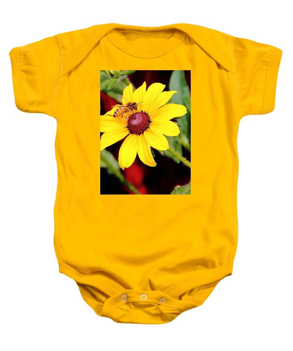 Flower Baby Onesie featuring the photograph Black-Eyed Susan by Allen Nice-Webb