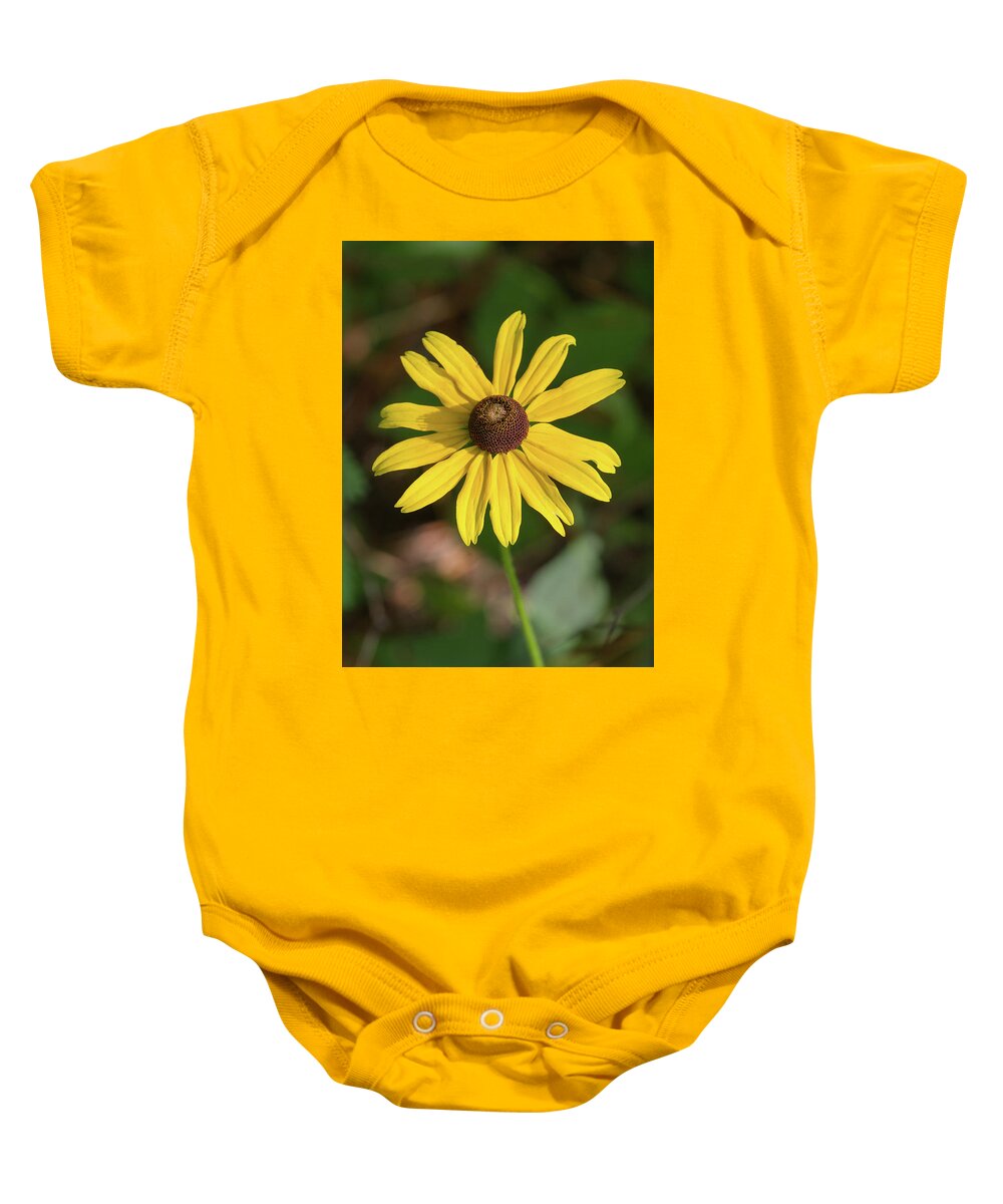 Blackeyed Susan Baby Onesie featuring the photograph Blackeyed Susan by Paul Rebmann