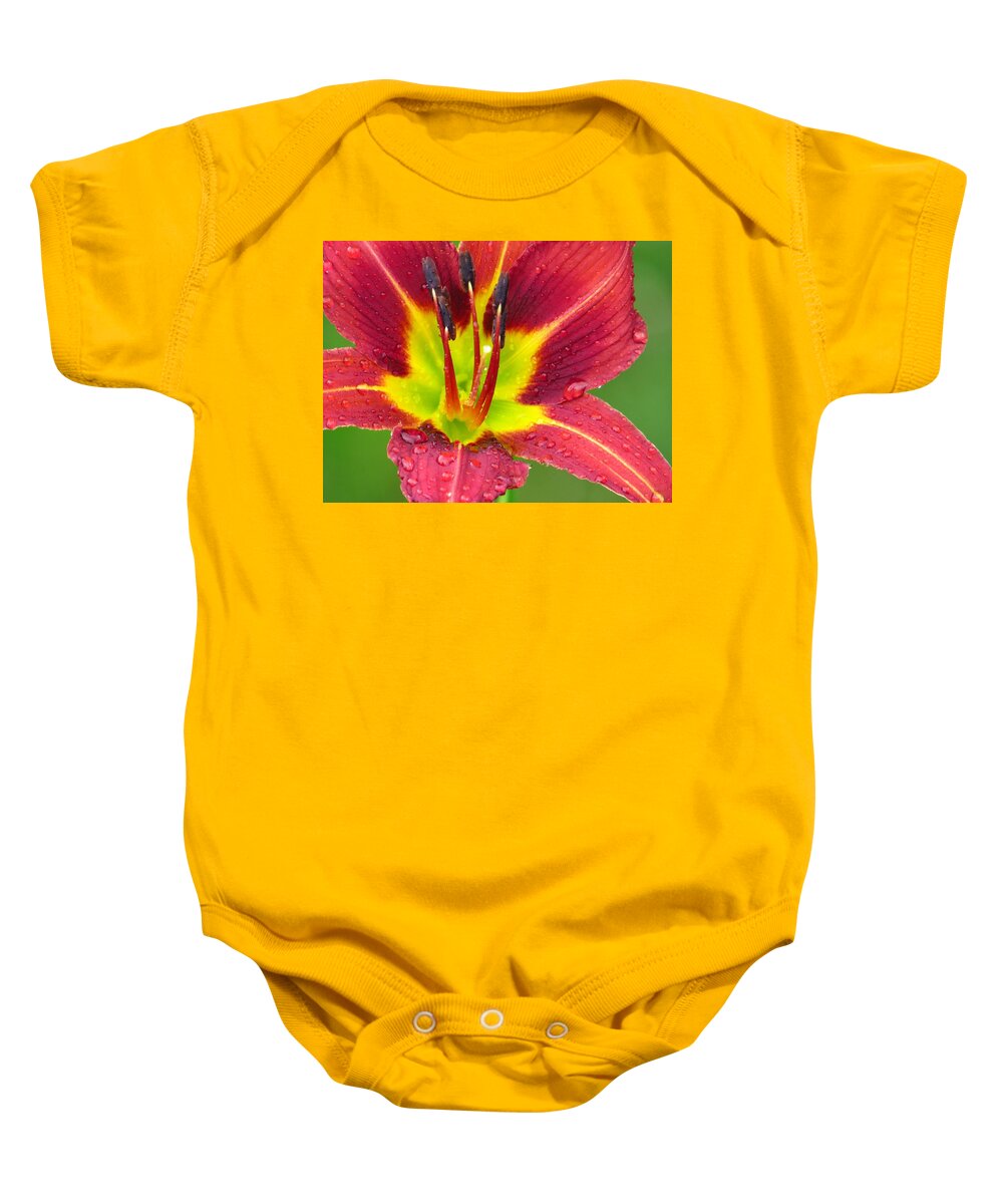 Lilies Baby Onesie featuring the photograph Bold and Beautiful by Lori Frisch