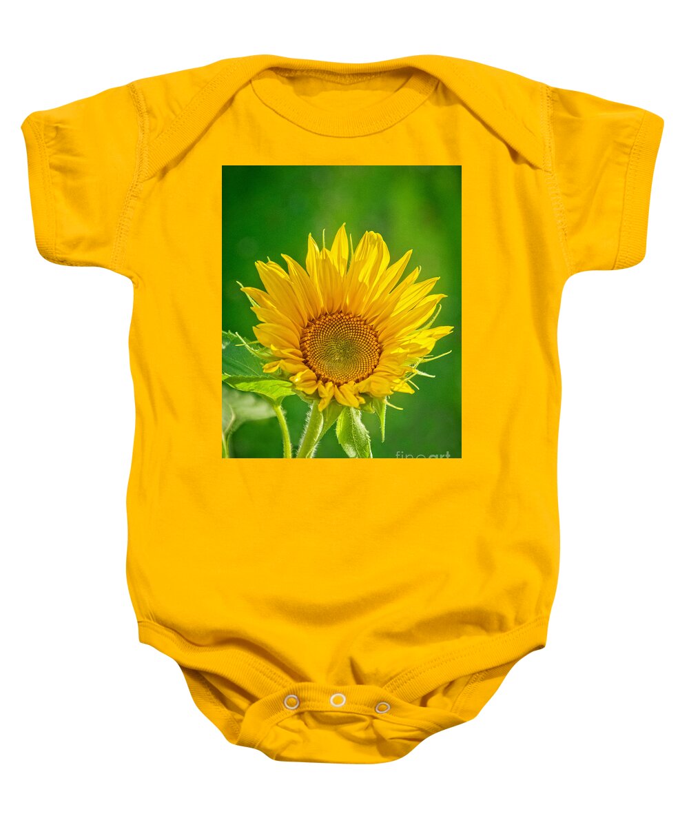 Stunning Baby Onesie featuring the photograph Bright Yellow Sunflower by Alana Ranney