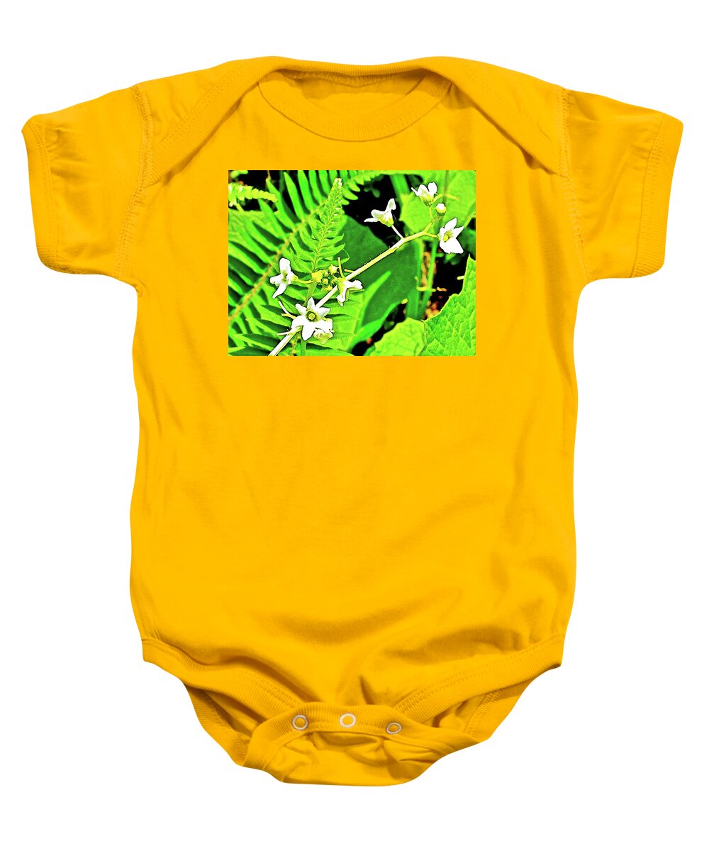 Bur Cucumber In Cape Meares State Park Baby Onesie featuring the photograph Bur Cucumber in Cape Meares State Park, Oregon by Ruth Hager