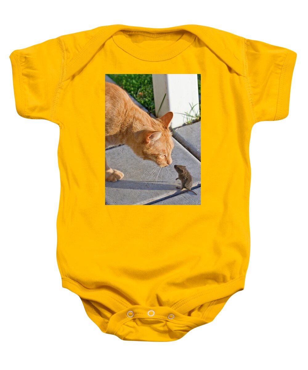 Cat Baby Onesie featuring the photograph Cat and Mouse by Wesley Aston