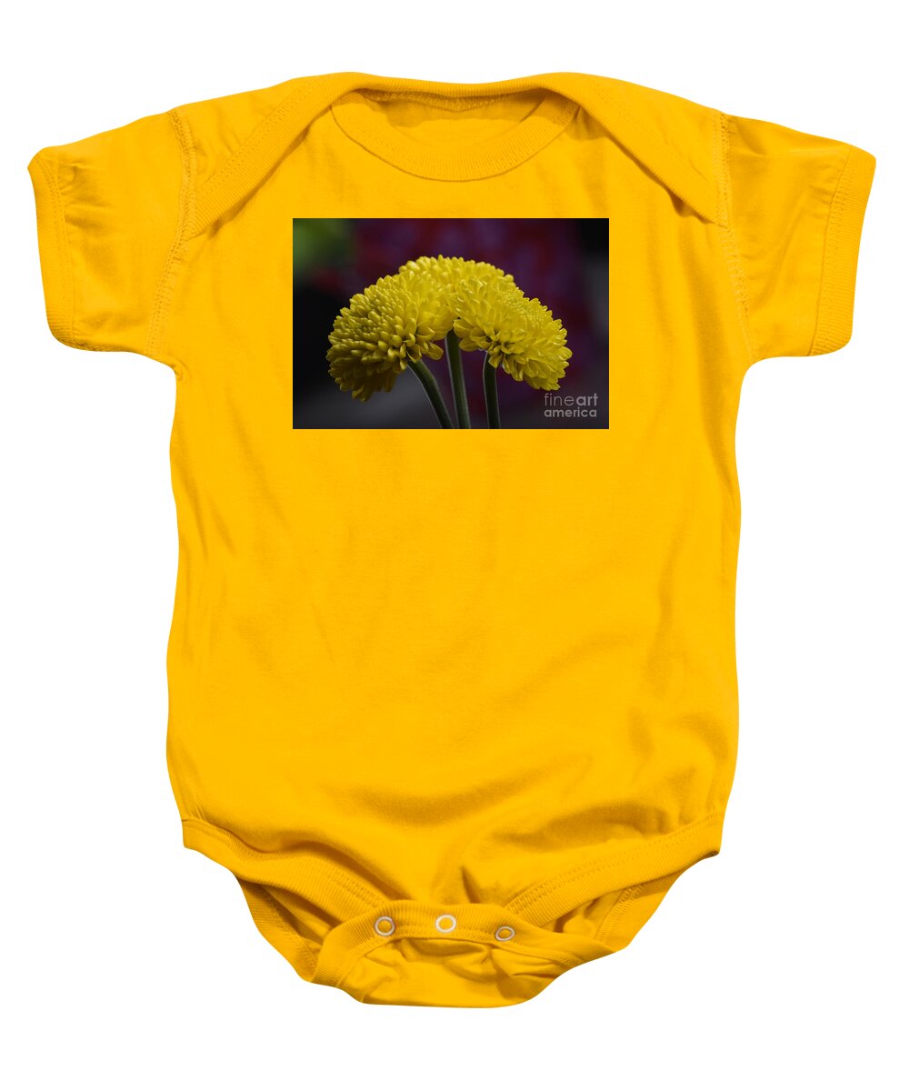 Flower Baby Onesie featuring the photograph Colorful triplet by Robert WK Clark