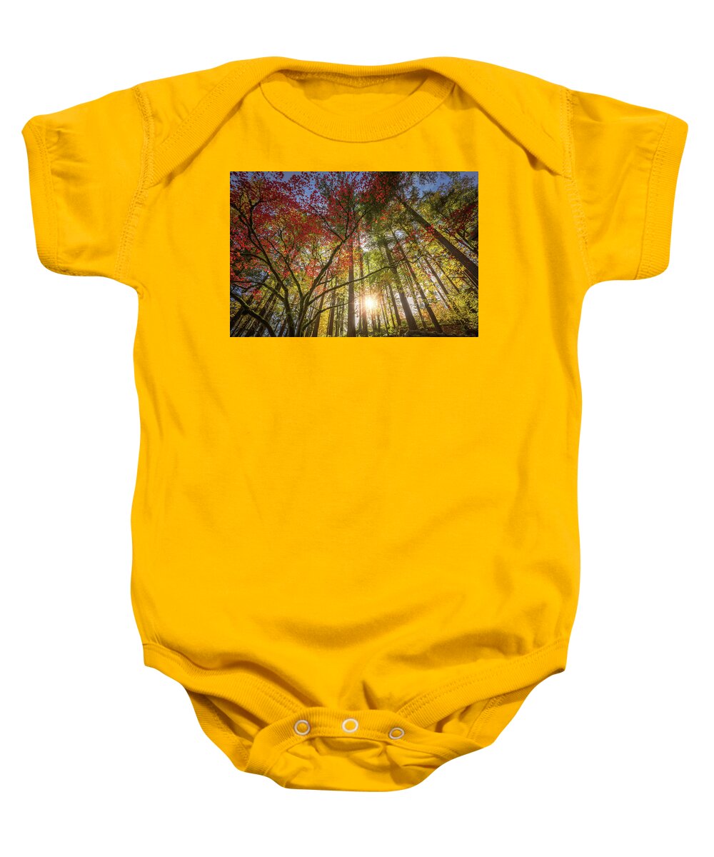 Oregon Baby Onesie featuring the photograph Decorated by Japanese maple by William Lee