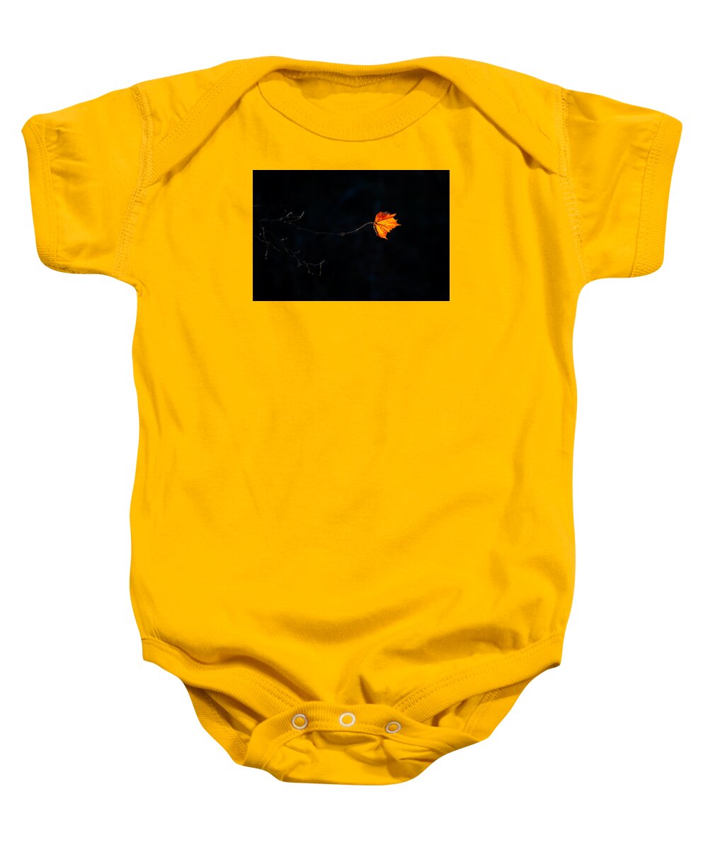 Nature Baby Onesie featuring the photograph Endurance by Jeff Phillippi