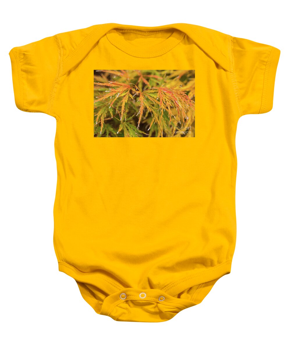 Scenic Baby Onesie featuring the photograph Fall Color 5528 41 by M K Miller