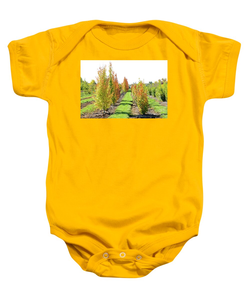 Fall Baby Onesie featuring the photograph Fall on the Tree Farm by Cindy Schneider