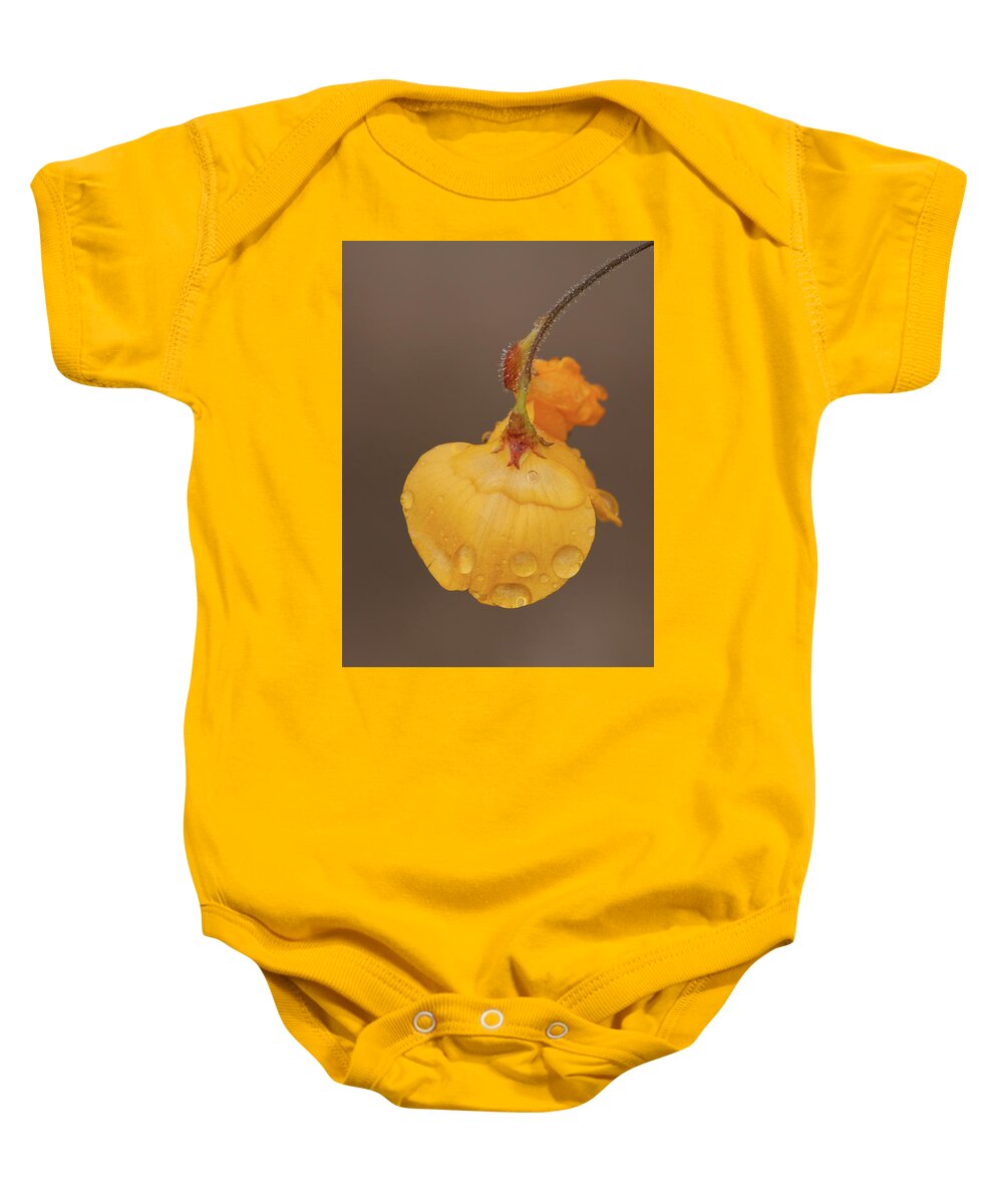 Alicia Baby Onesie featuring the photograph Florida Alicia by Paul Rebmann