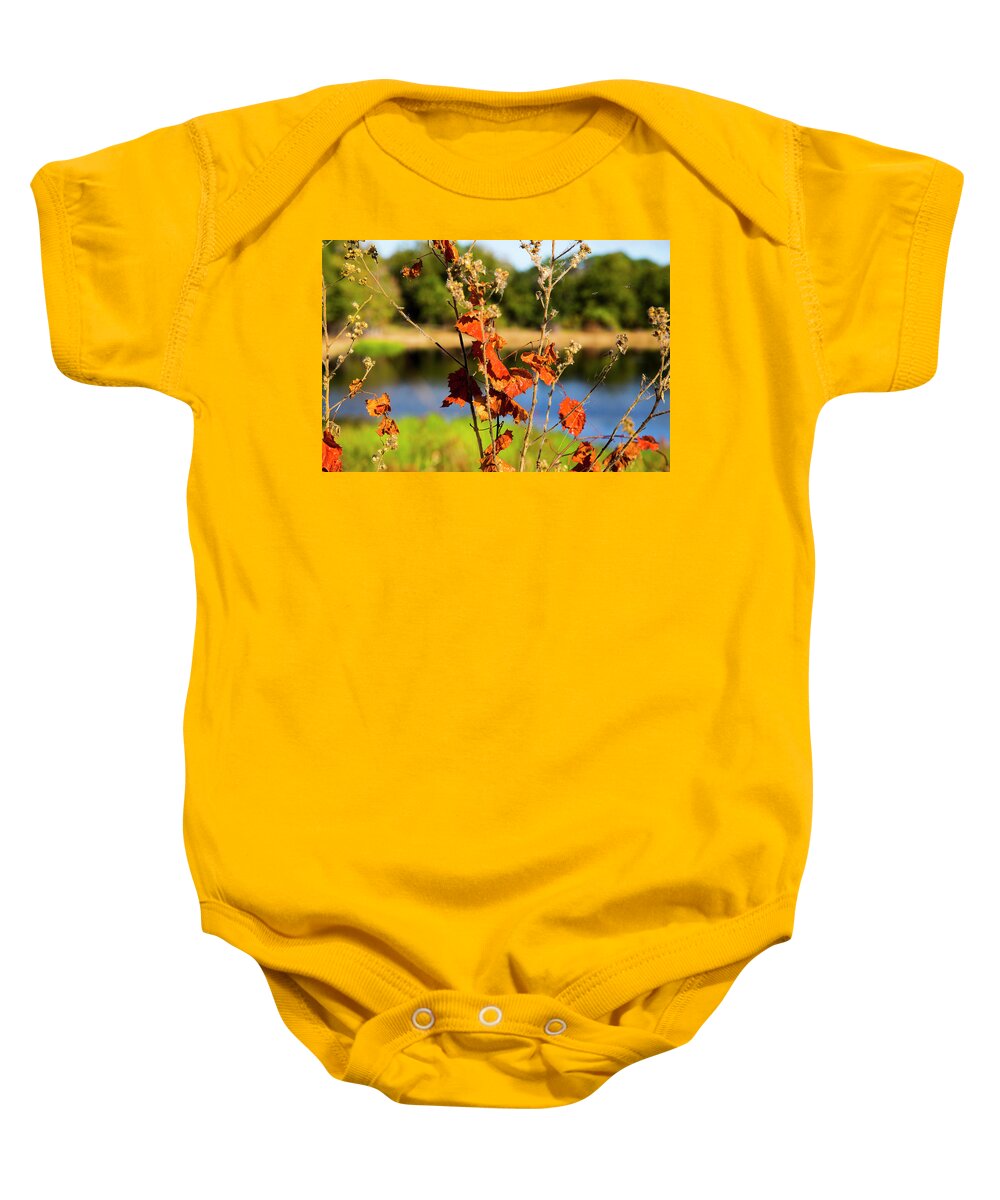 Fall Baby Onesie featuring the photograph Florida Fall Leaves by Dart Humeston
