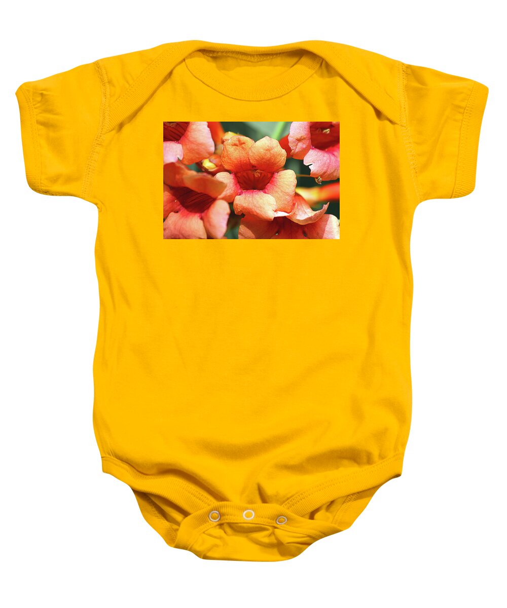 Flowers Baby Onesie featuring the photograph Flowers by David Stasiak