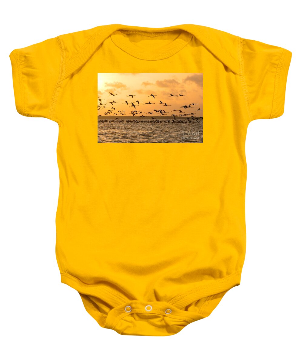 Adult Baby Onesie featuring the photograph Flying flamingoes at sunset by Patricia Hofmeester