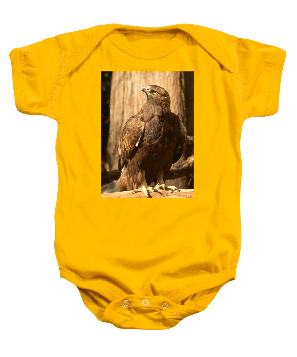 Photography Baby Onesie featuring the photograph Golden Eagle by Sean Griffin