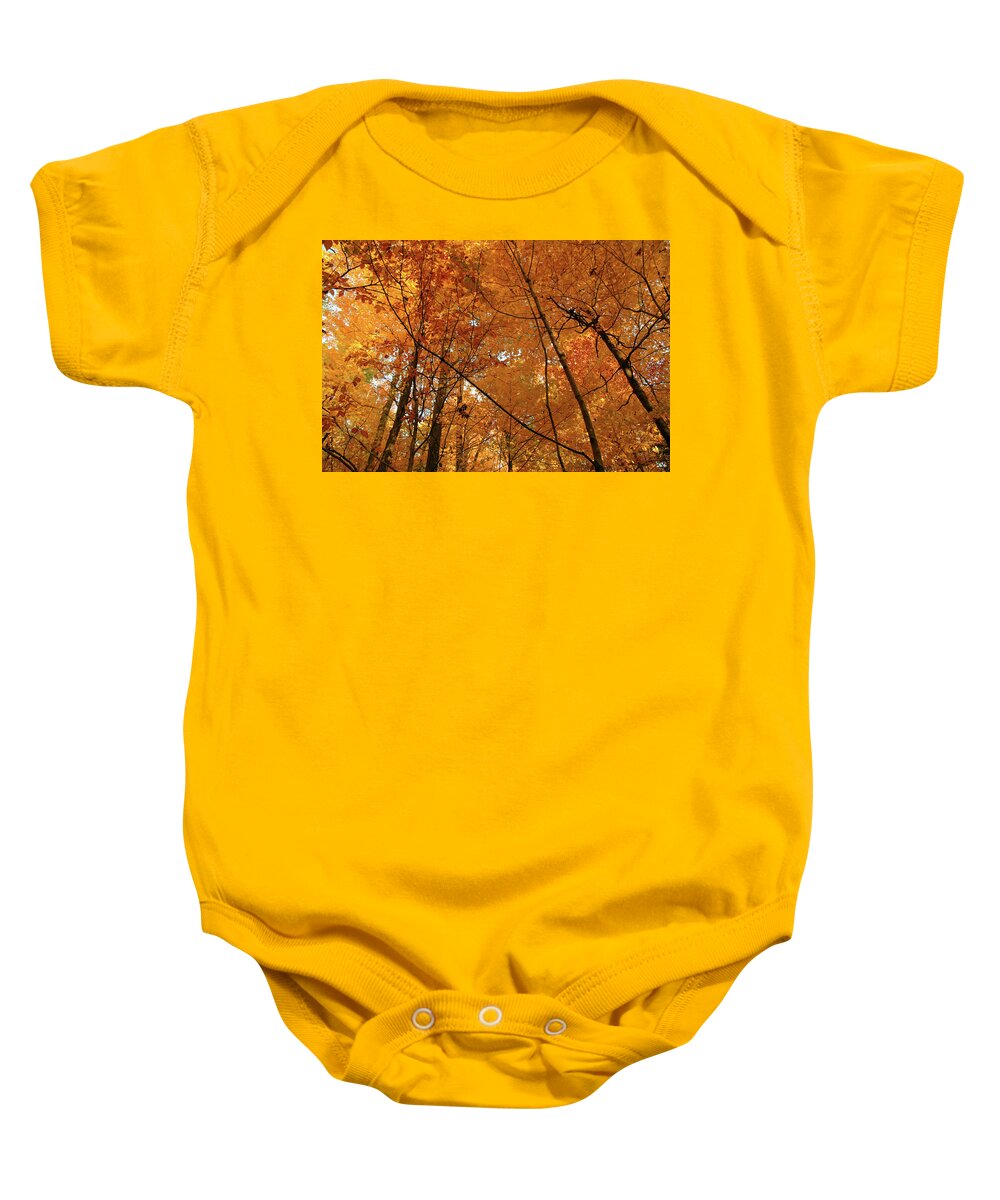 Forest Baby Onesie featuring the photograph Golden October forest by GoodMood Art