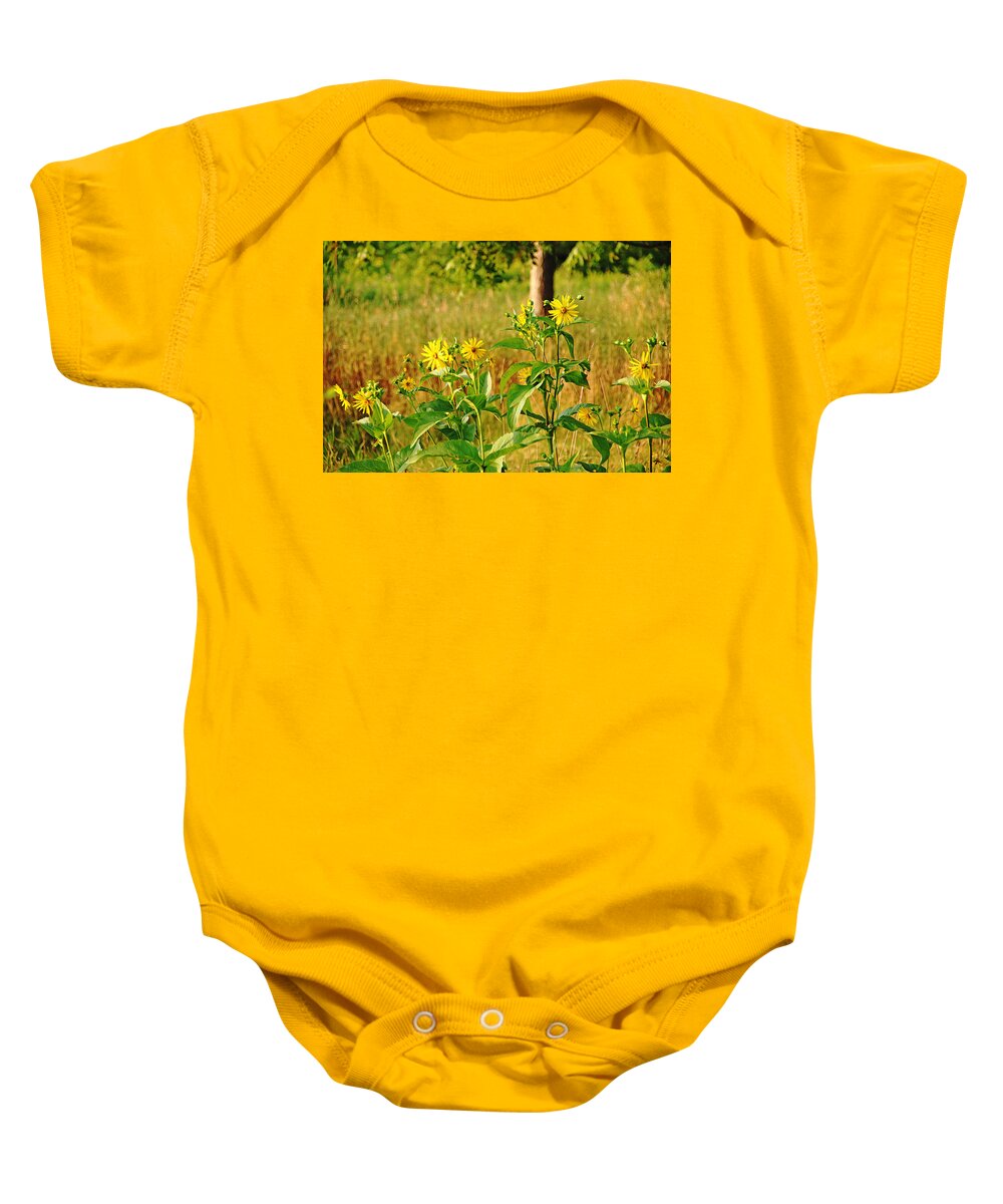 Cup Plant Baby Onesie featuring the photograph Golden Yellow Ray Florets by Debbie Oppermann