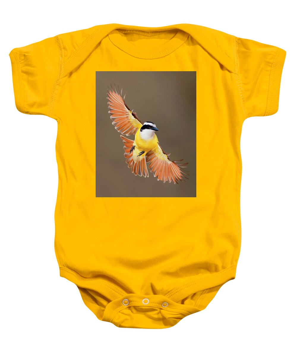 Bia Baby Onesie featuring the photograph Great Kiskadee in Texas by Alan Murphy