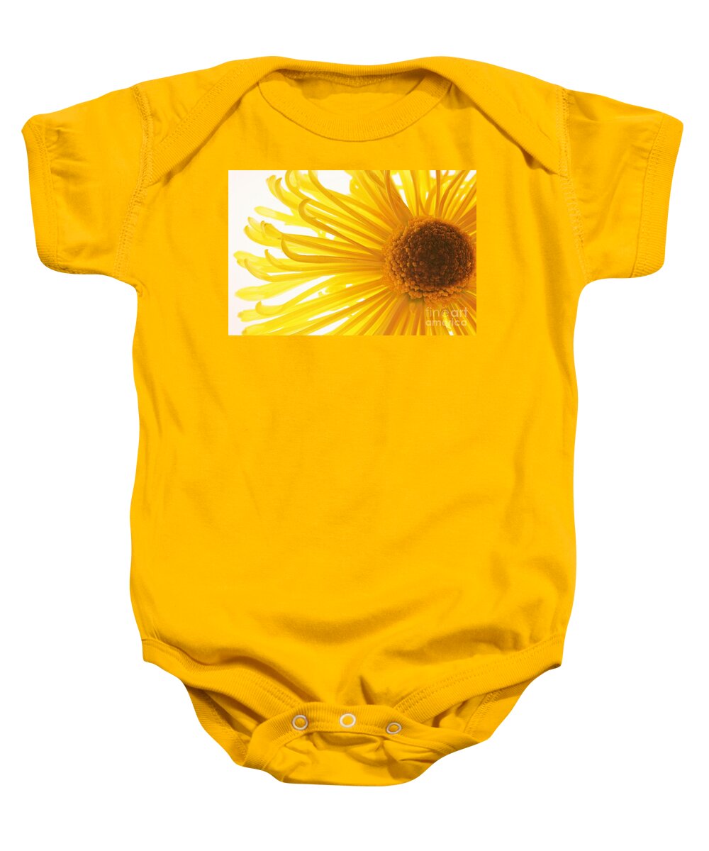 Daisy Baby Onesie featuring the photograph Hello Sunshine by Julie Lueders 