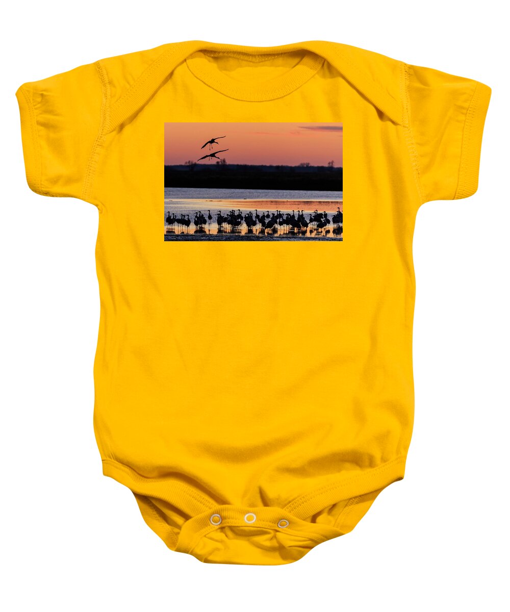 Birds Baby Onesie featuring the photograph Horicon Marsh Cranes #5 by Paul Schultz