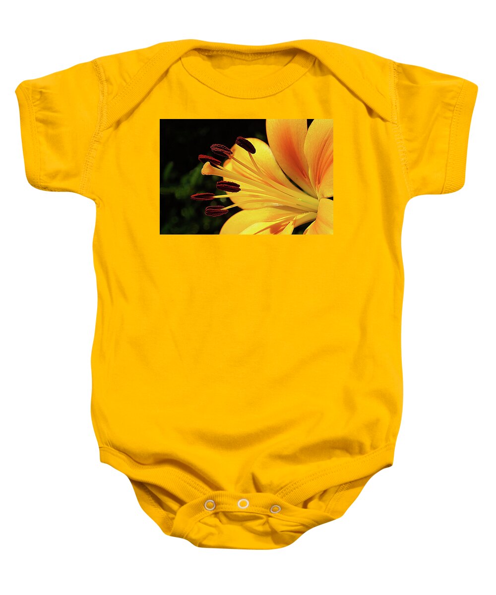 Flowers Baby Onesie featuring the photograph Hybrid Lily by Rich Walter