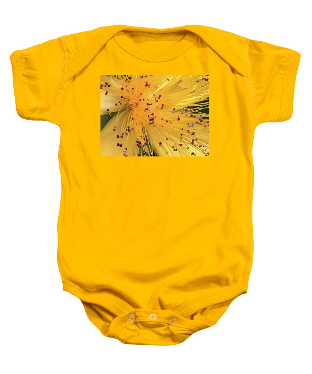 Flower Baby Onesie featuring the photograph Inside a flower - Favorite of the bees by Eva-Maria Di Bella
