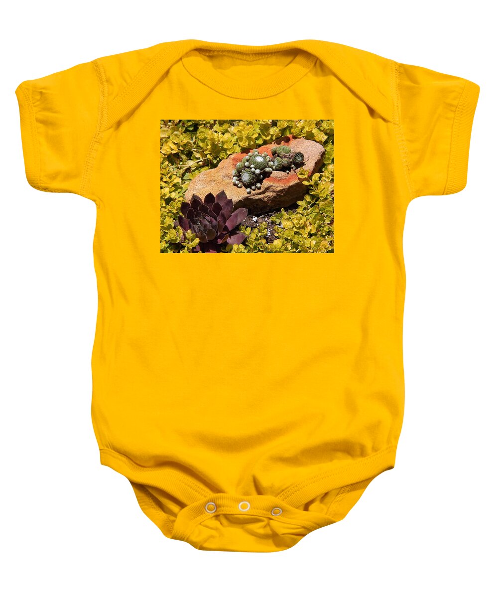 Plants Baby Onesie featuring the photograph Joyful Living in Hard Times by Allen Nice-Webb