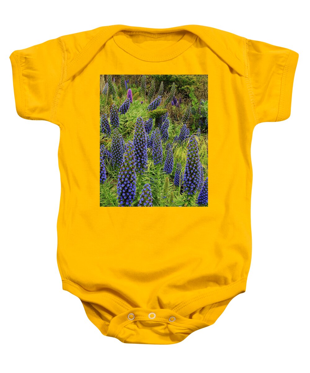 Muir Woods Baby Onesie featuring the photograph Land of The Giants by Sean Sarsfield