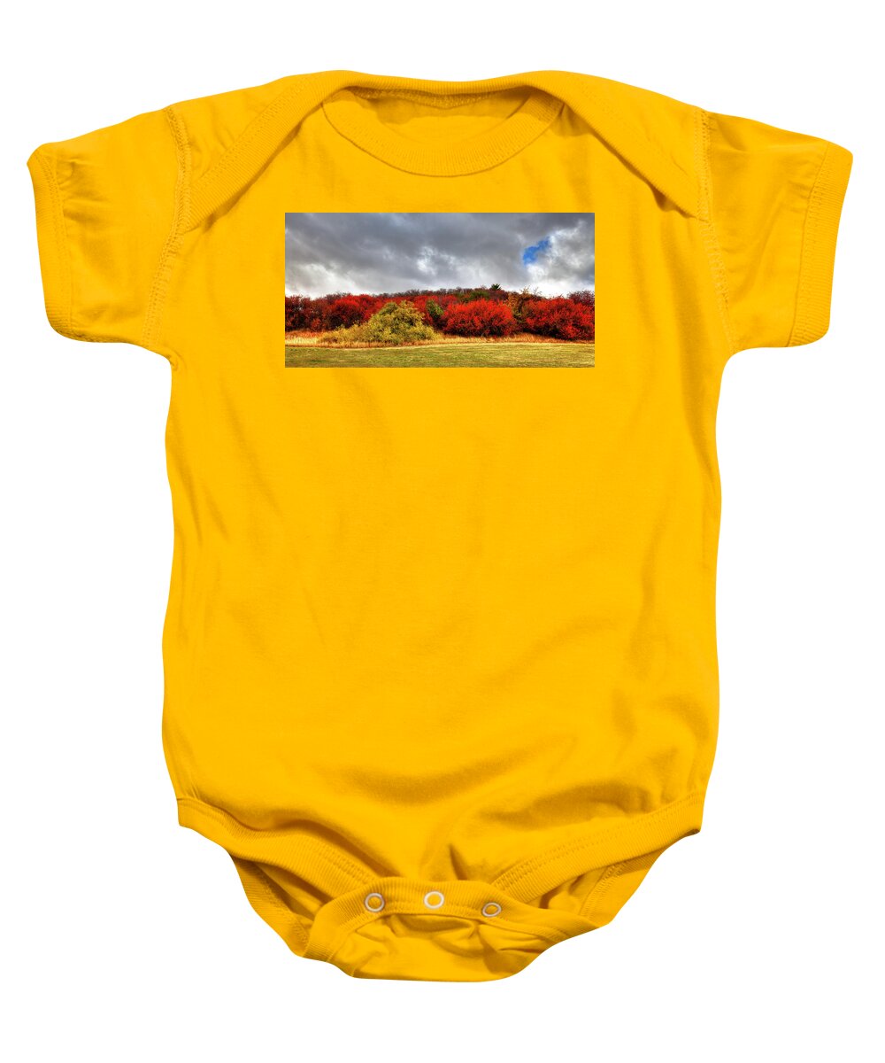 Magpie Forest Baby Onesie featuring the photograph Magpie Forest by David Patterson
