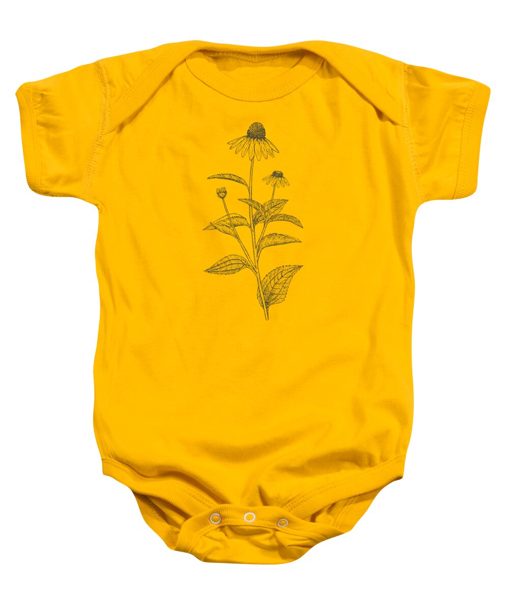 Echinacea Baby Onesie featuring the painting Medicinal Herb Echinacea by Little Bunny Sunshine