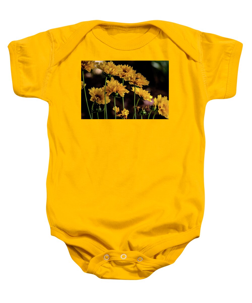 Flower Baby Onesie featuring the digital art Moonbeam Coreopsis by Ed Stines