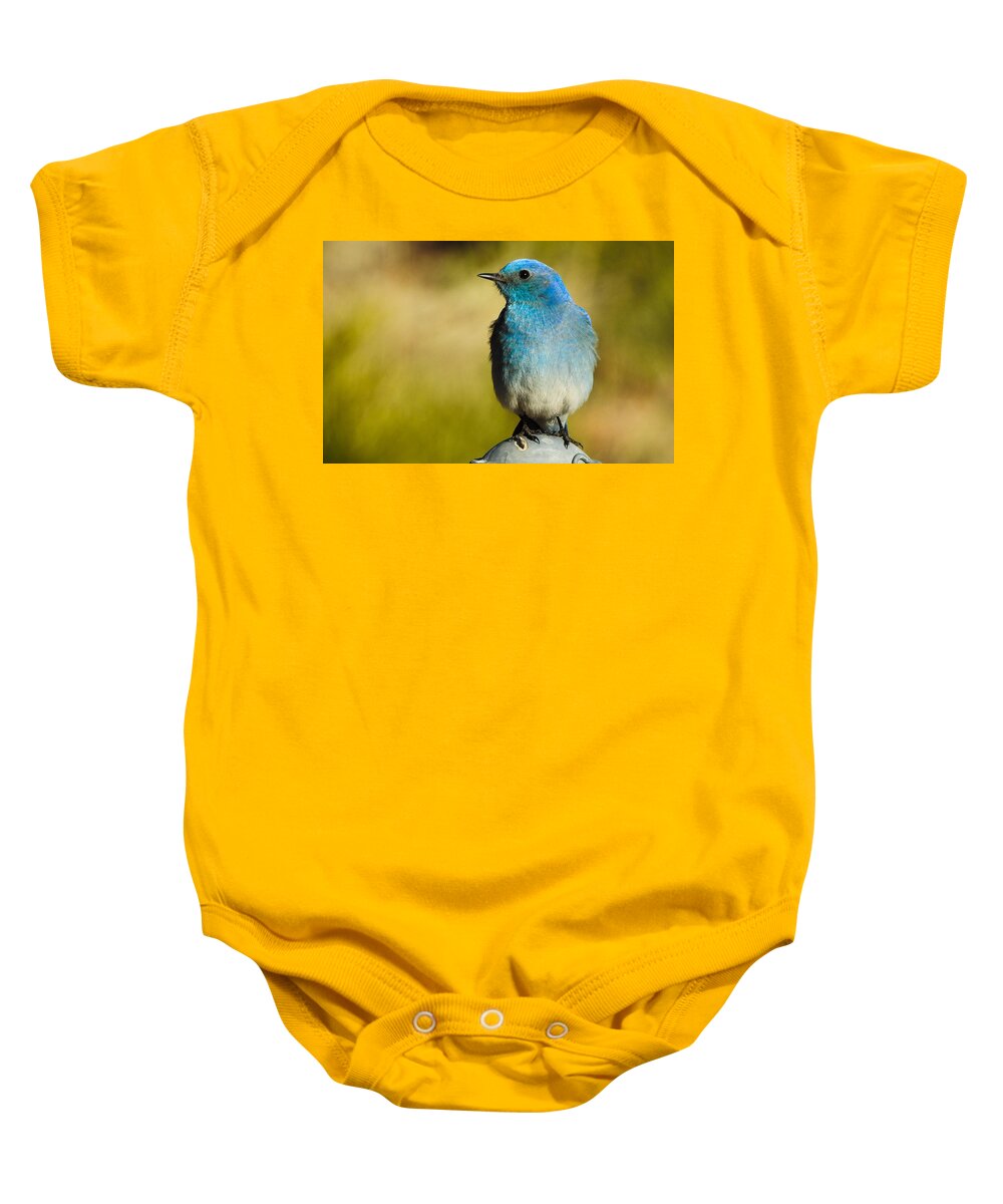 Bird Baby Onesie featuring the photograph Mountain Bluebird Male by Mindy Musick King