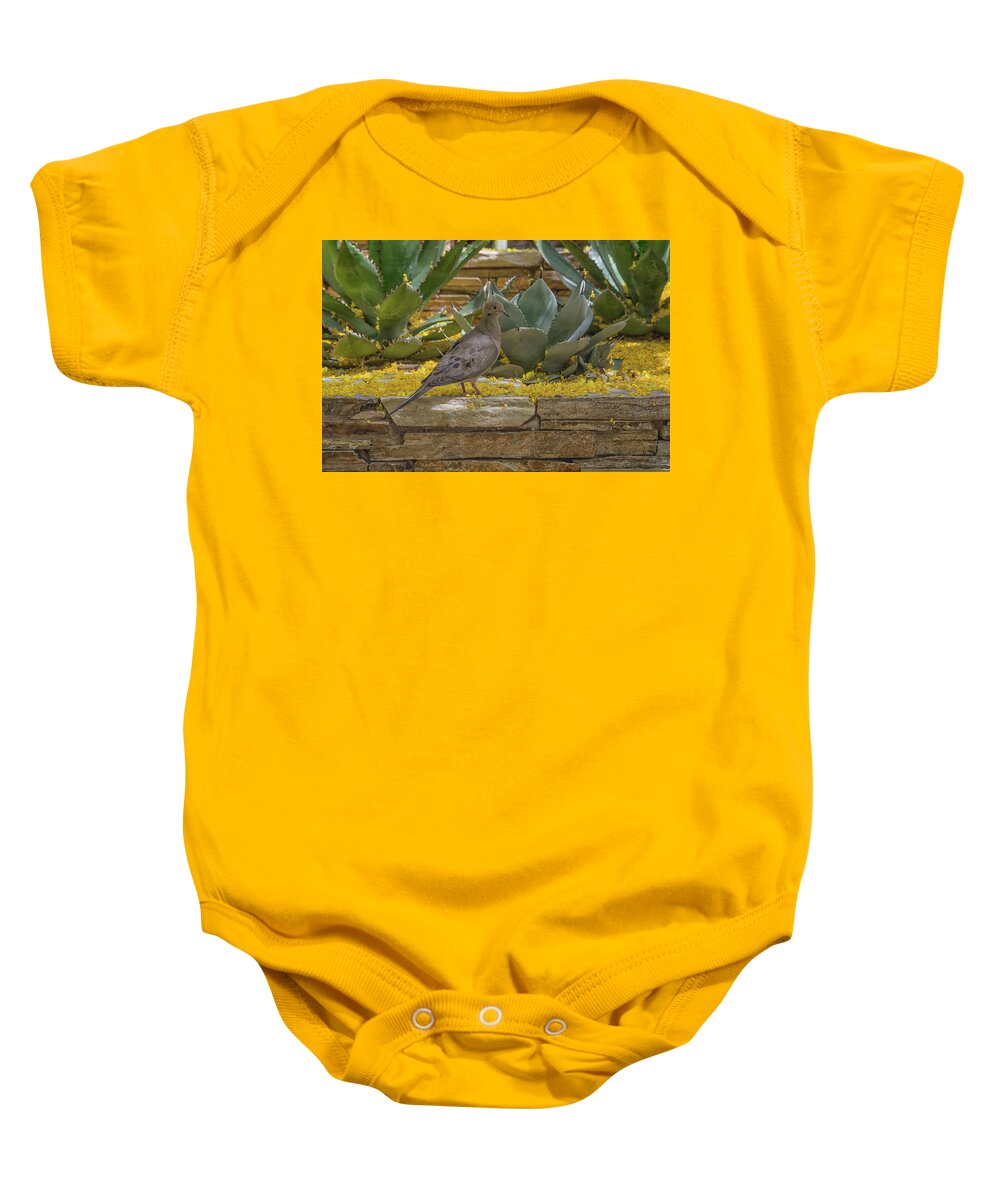 Mourning Baby Onesie featuring the photograph Mourning Dove 5875-041118-1 by Tam Ryan