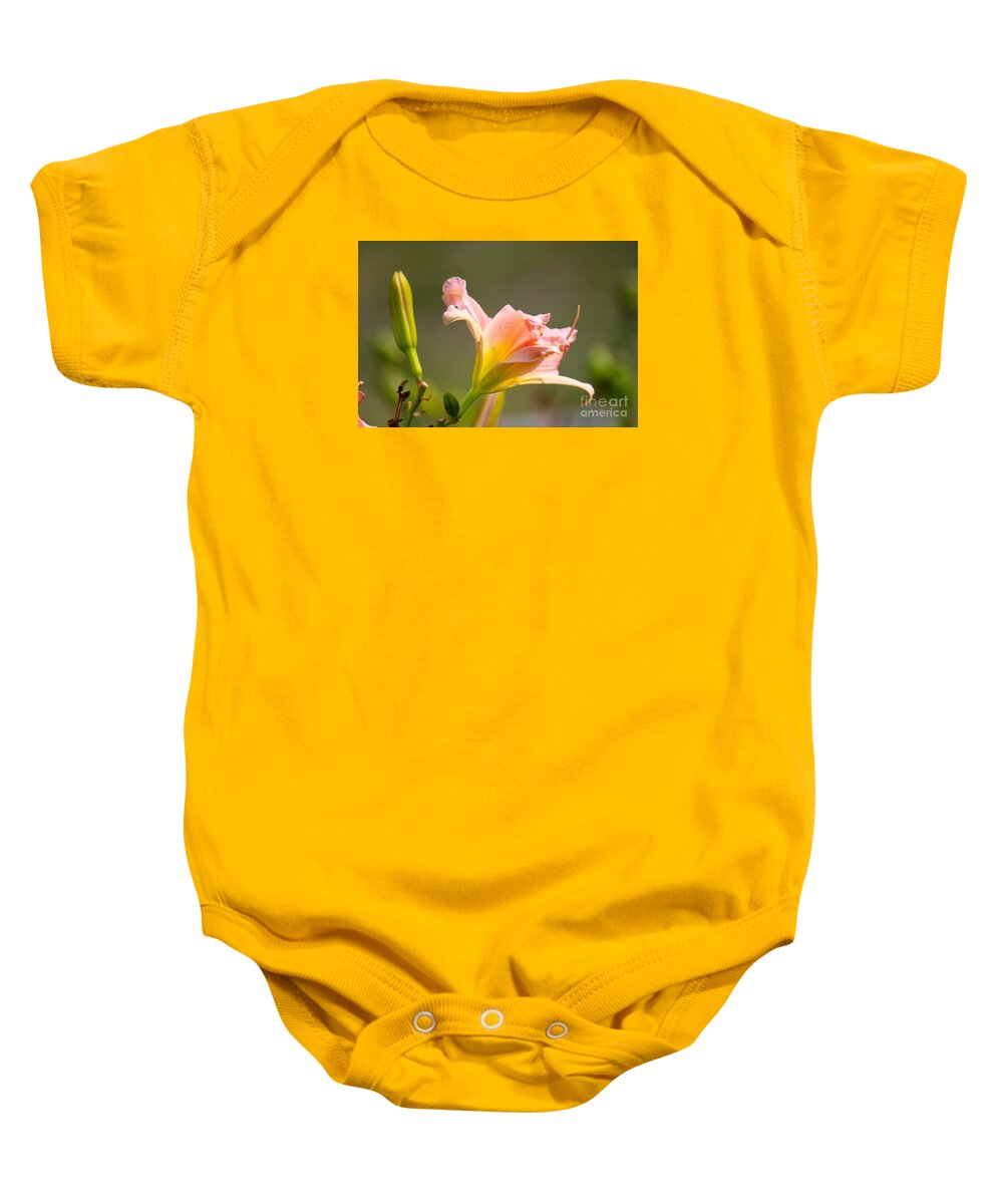 Pink Baby Onesie featuring the photograph Nature's Beauty 125 by Deena Withycombe
