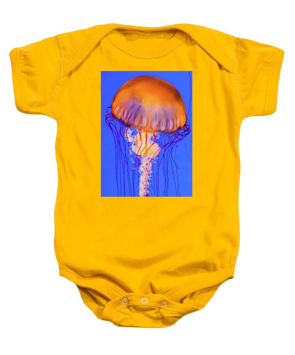 Akron Zoo Baby Onesie featuring the photograph Natures Sting by Stewart Helberg