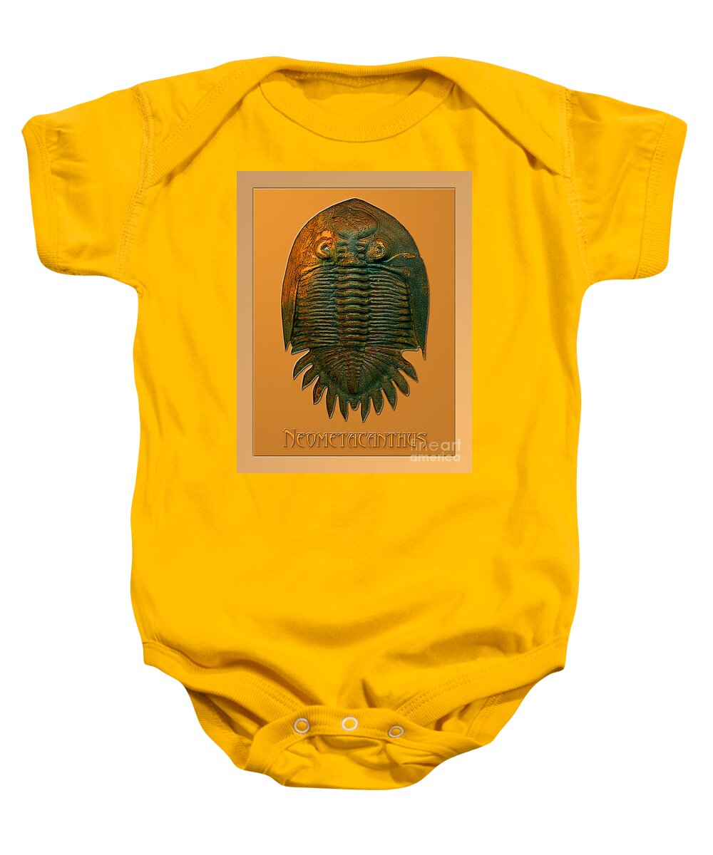 Trilobite Fossil Ancient Colorful Exotic Paleontology Marine Prehistoric Unique Cool Awesome Baby Onesie featuring the photograph Neometacanthus fossil trilobite by Melissa A Benson