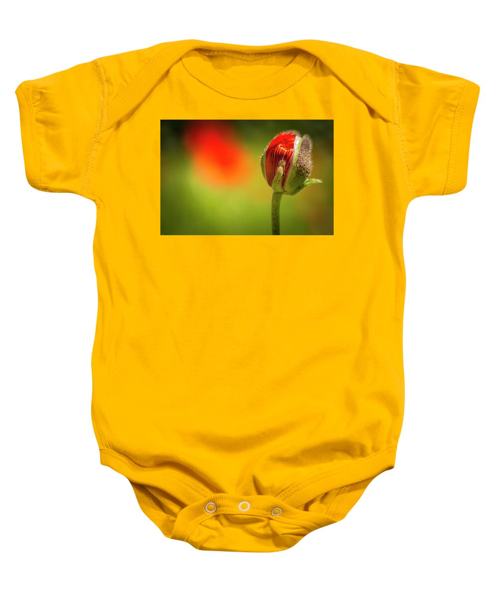 Agriculture Baby Onesie featuring the photograph New Orange Poppy Bloom by Teri Virbickis