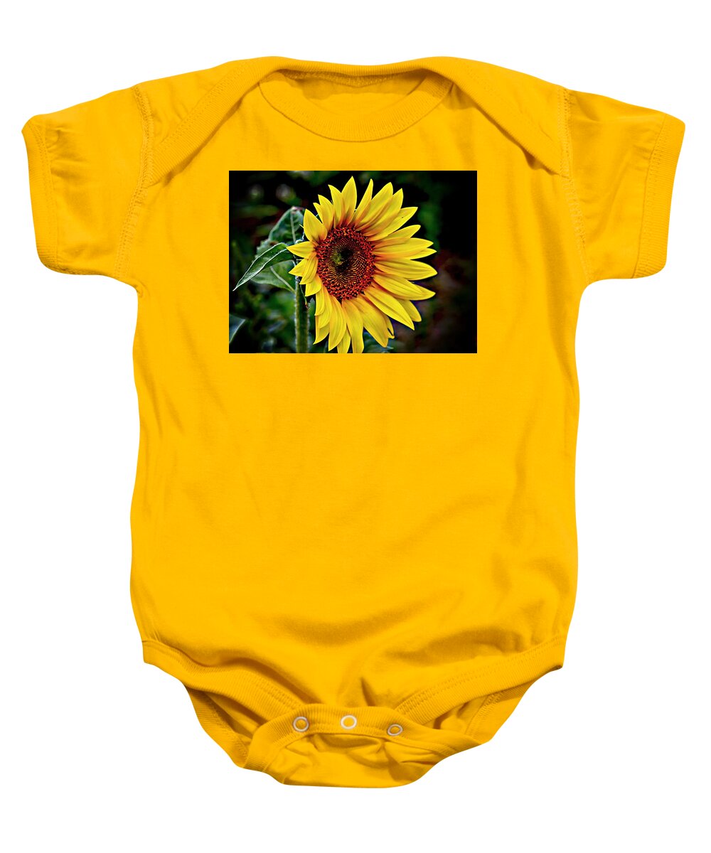 Yellow Sunflower Baby Onesie featuring the photograph One Big Sunflower by Karen McKenzie McAdoo