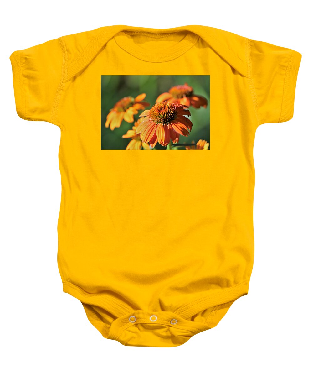 Nature Baby Onesie featuring the photograph Orange Cone Flowers in Morning Light by Sheila Brown