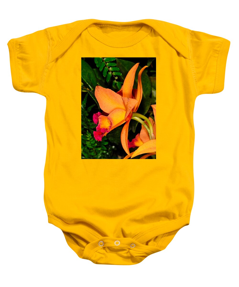 Orchid Baby Onesie featuring the photograph Orchid 355 by Wesley Elsberry