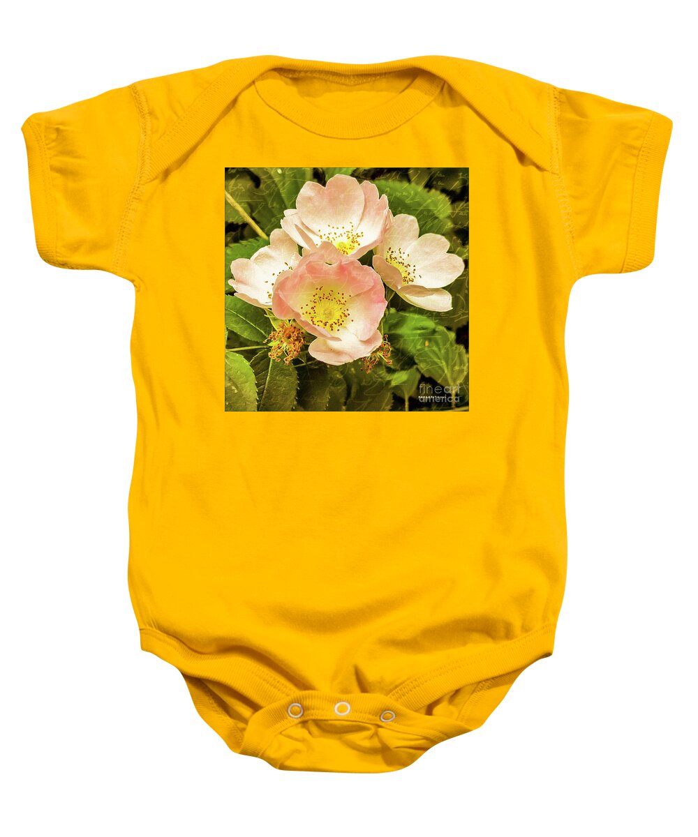 Mona Stut Baby Onesie featuring the digital art Past And Present Roses by Mona Stut
