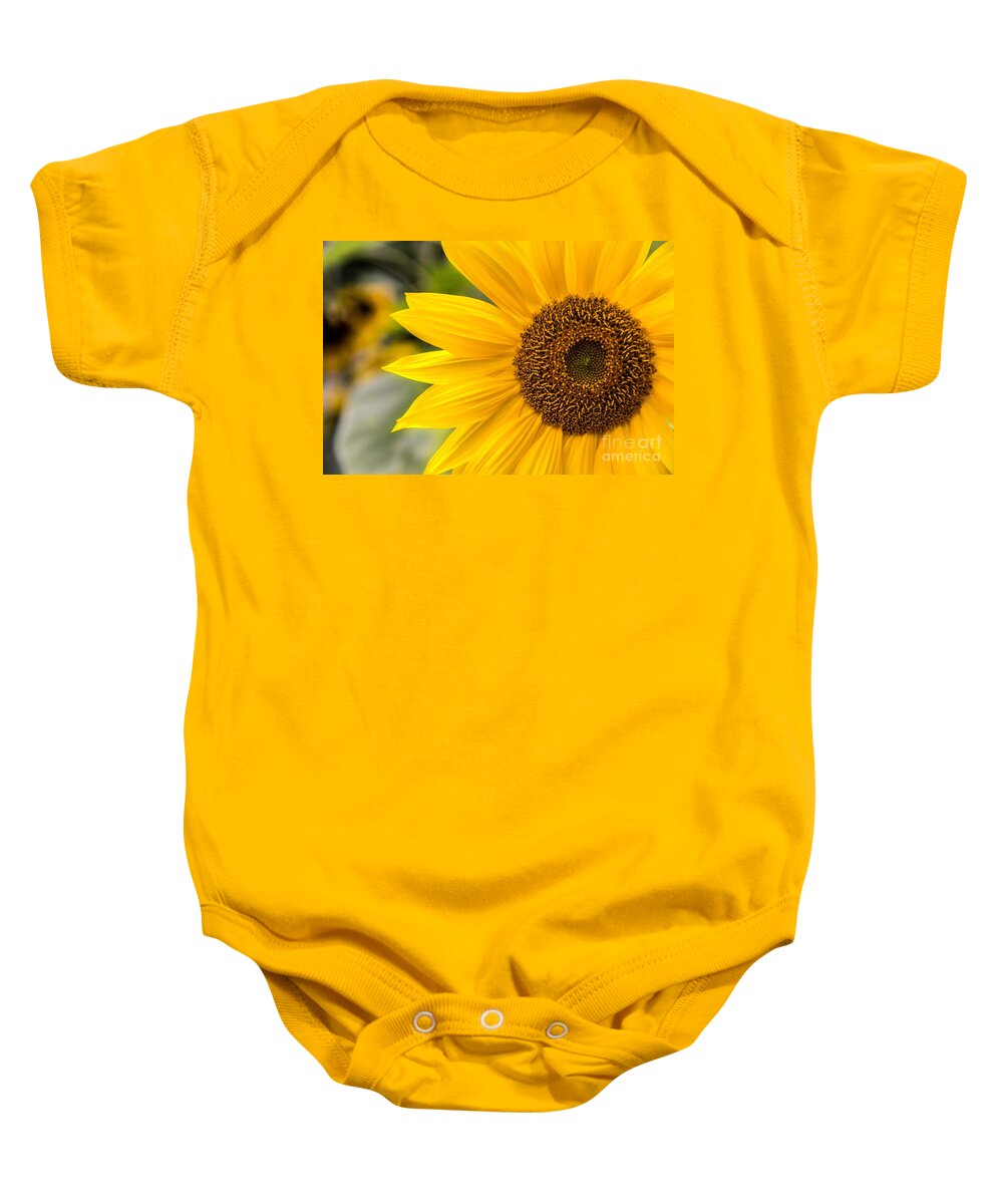 Maine Baby Onesie featuring the photograph Petals by Karin Pinkham