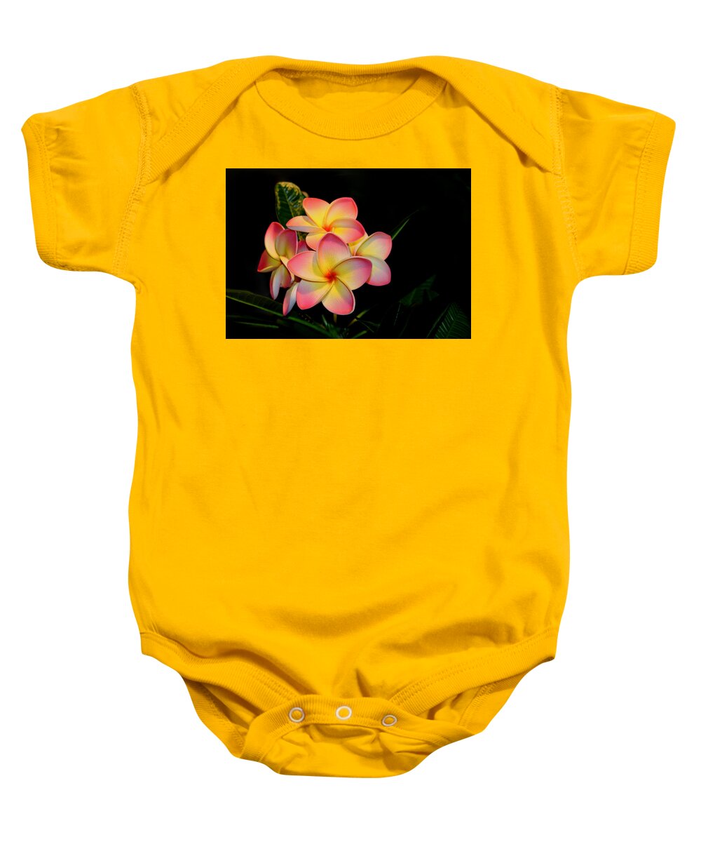 Plumeria Baby Onesie featuring the photograph Plumeria by Living Color Photography Lorraine Lynch