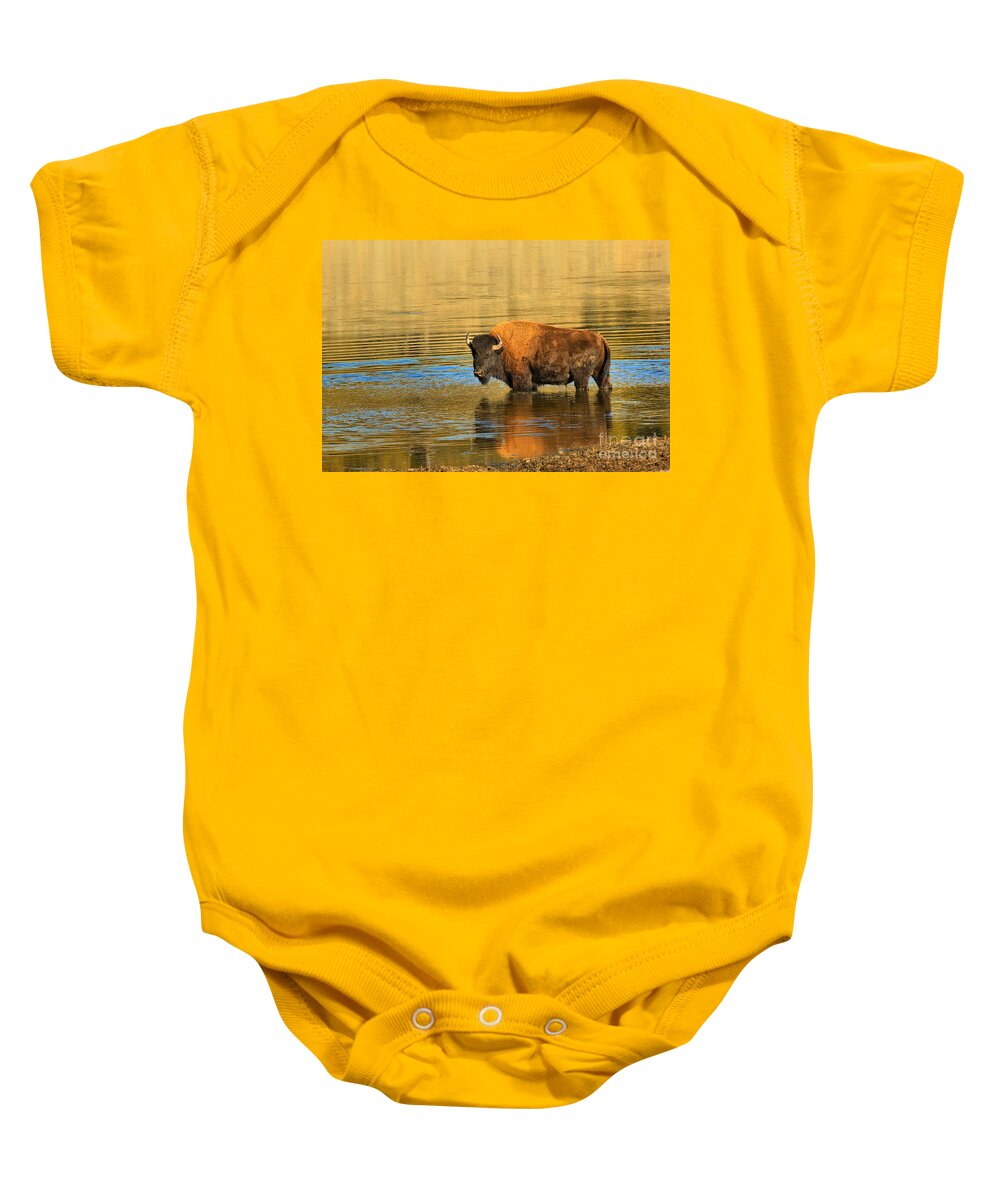 Bison Baby Onesie featuring the photograph Preparing To Swim The Yellowstone by Adam Jewell