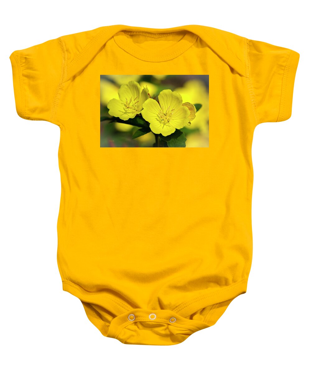 Flowers Baby Onesie featuring the photograph Primrose Flowers by Christina Rollo
