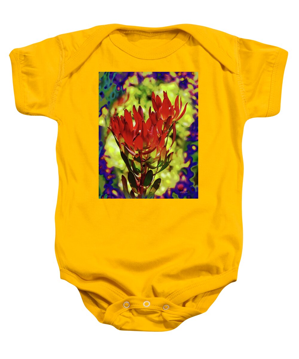 Protea Baby Onesie featuring the photograph Protea Flower 4 by Xueling Zou