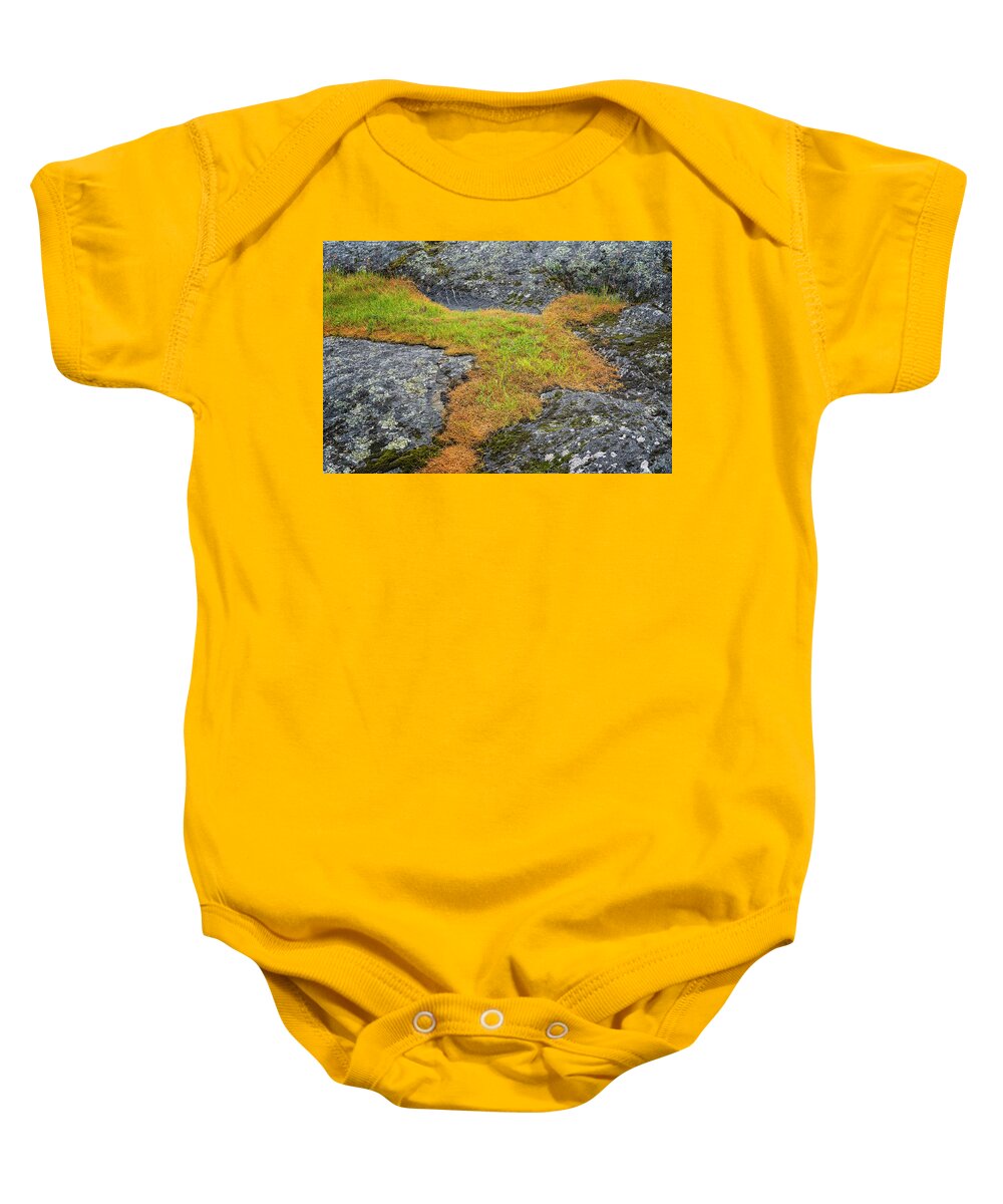 Oregon Coast Baby Onesie featuring the photograph Rock And Grass by Tom Singleton