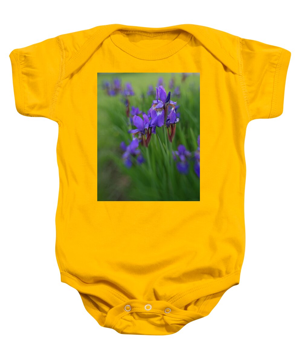Iris Baby Onesie featuring the photograph See clearly now by Pamela Taylor
